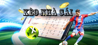 Chơi game bài và học hỏi từ các chuyên gia với nhacaitang100k.com